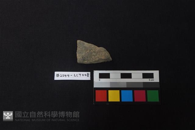 陶片藏品圖，第2張