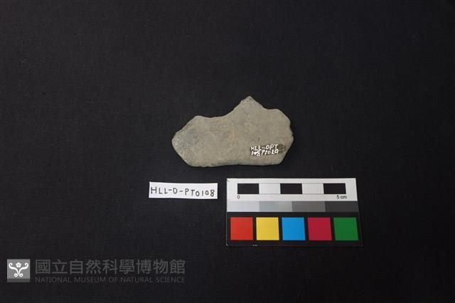 陶片藏品圖，第2張