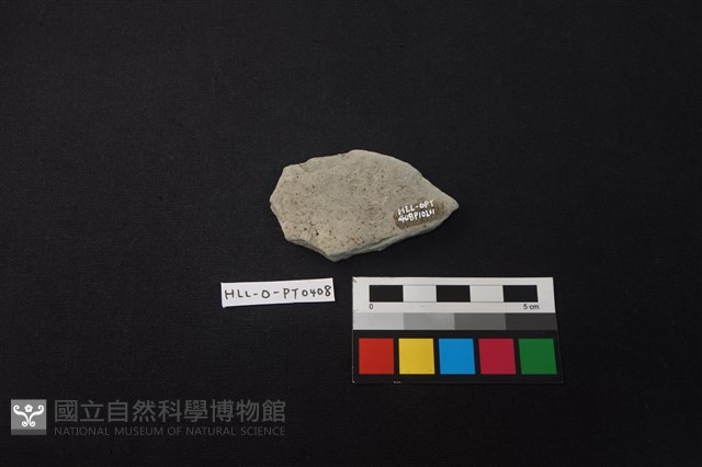 陶片藏品圖，第2張