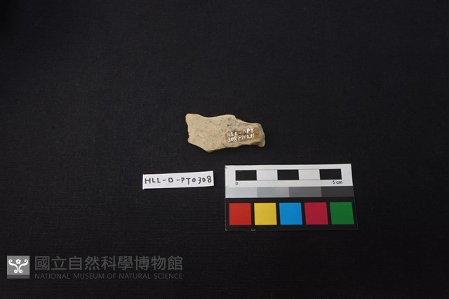 陶片藏品圖，第2張
