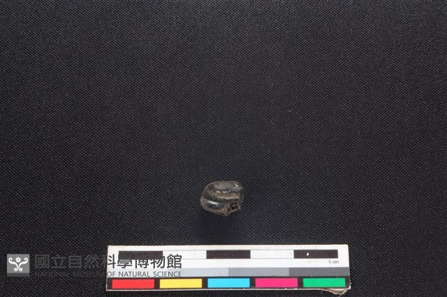 狗骨藏品圖，第2張