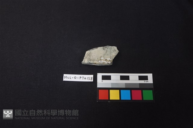 陶片藏品圖，第2張