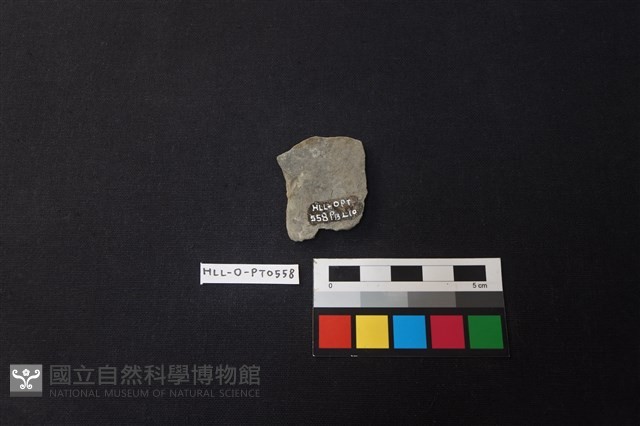 陶片藏品圖，第2張