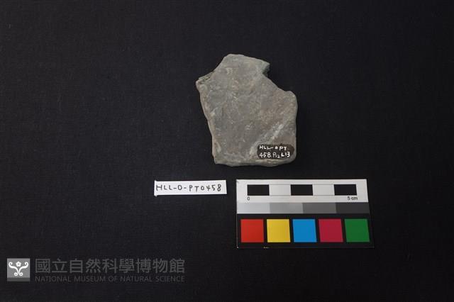 陶片藏品圖，第2張