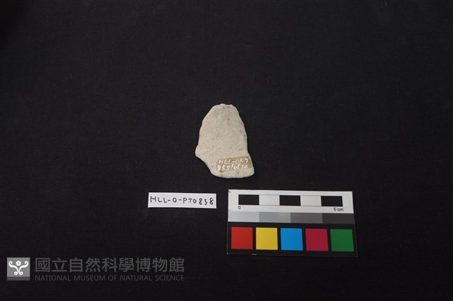 陶片藏品圖，第2張