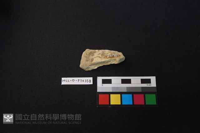 陶片藏品圖，第2張