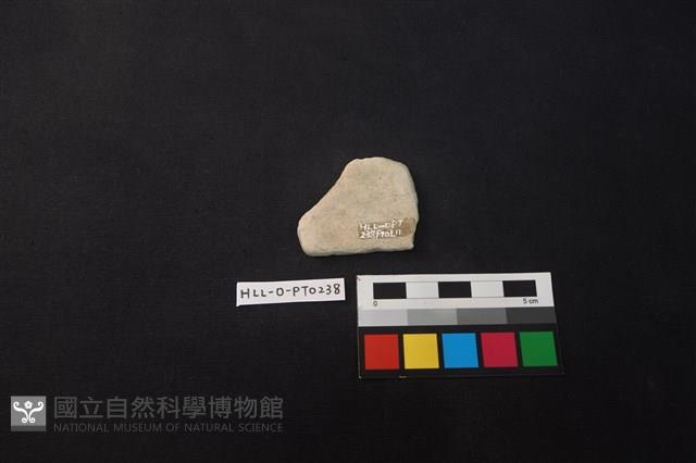 陶片藏品圖，第2張