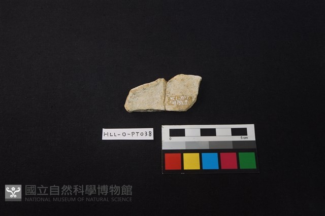 陶片藏品圖，第2張