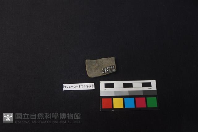 陶片藏品圖，第2張