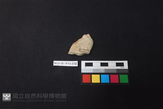 陶片藏品圖，第2張