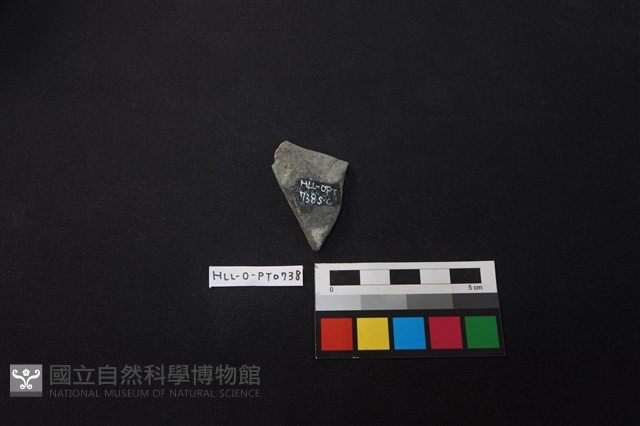 陶片藏品圖，第2張