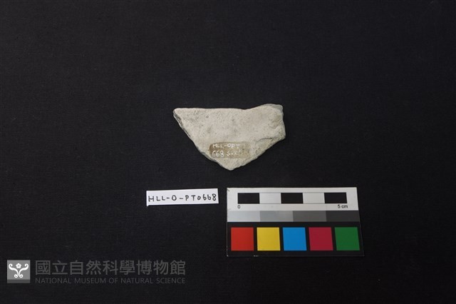陶片藏品圖，第2張