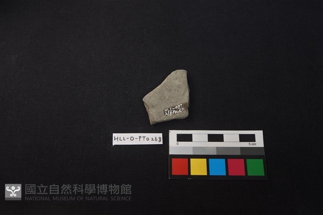陶片藏品圖，第2張