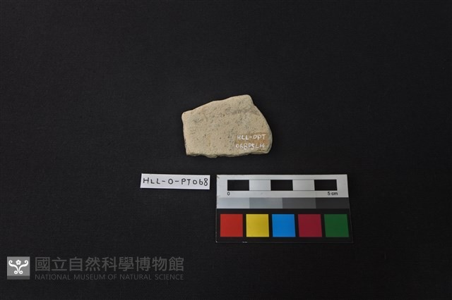 陶片藏品圖，第2張