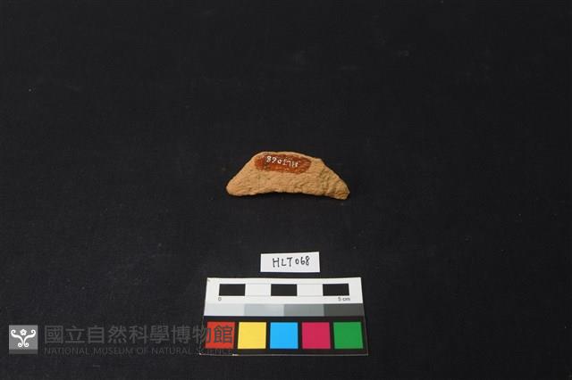 陶片藏品圖，第2張