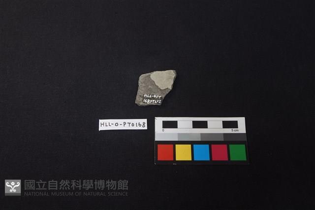 陶片藏品圖，第2張