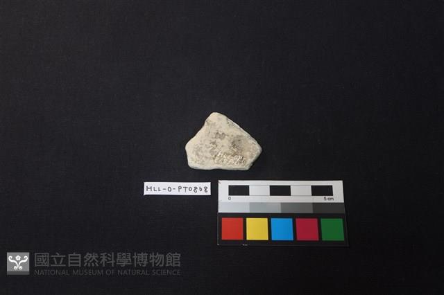 陶片藏品圖，第2張