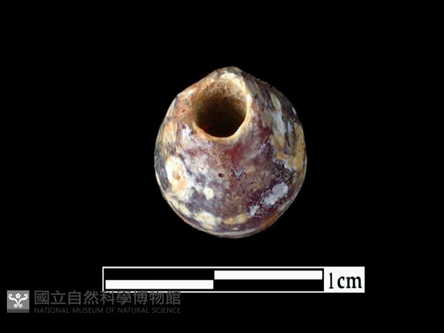 玻璃珠藏品圖，第2張