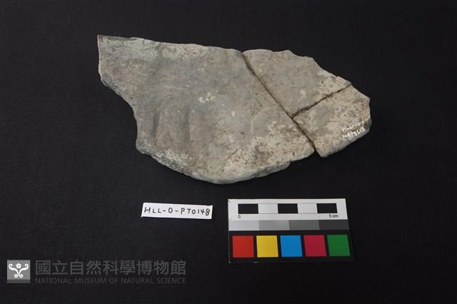 陶片藏品圖，第2張