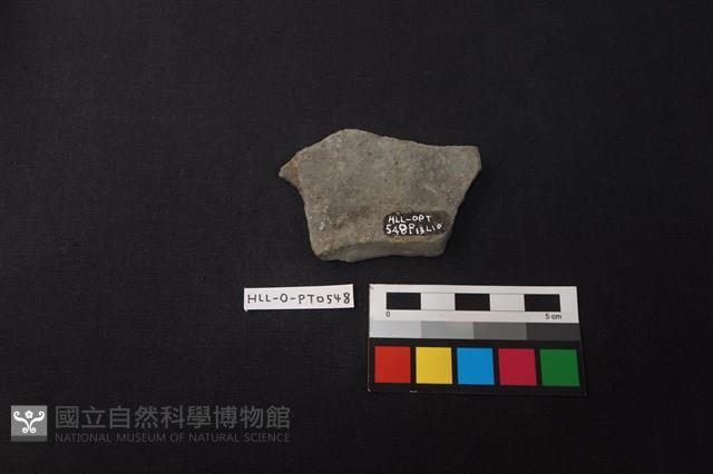 陶片藏品圖，第2張