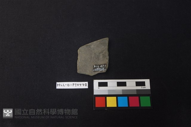 陶片藏品圖，第2張