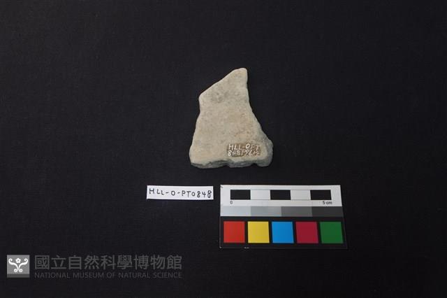 陶片藏品圖，第2張