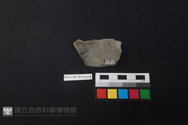 陶片藏品圖，第2張