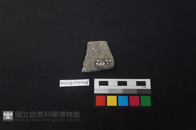 陶片藏品圖，第2張