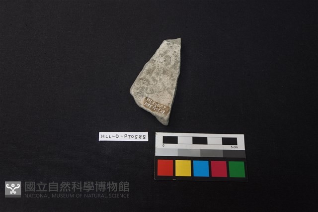 陶片藏品圖，第2張