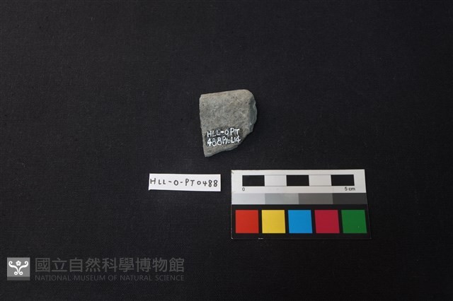陶片藏品圖，第2張