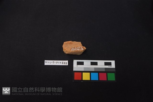 陶片藏品圖，第2張