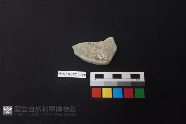 陶片藏品圖，第2張