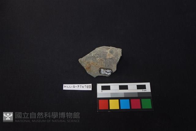 陶片藏品圖，第2張