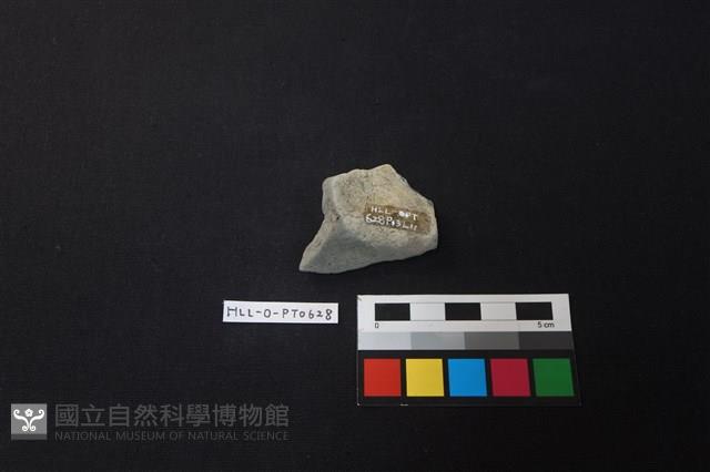 陶片藏品圖，第2張