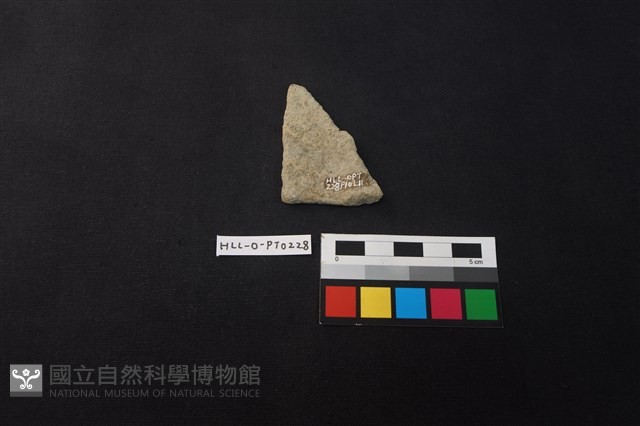 陶片藏品圖，第2張