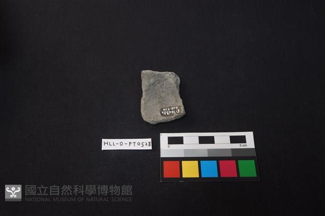 陶片藏品圖，第2張