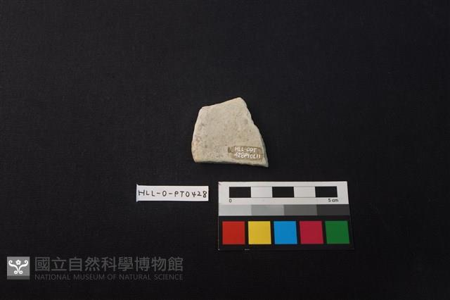 陶片藏品圖，第2張