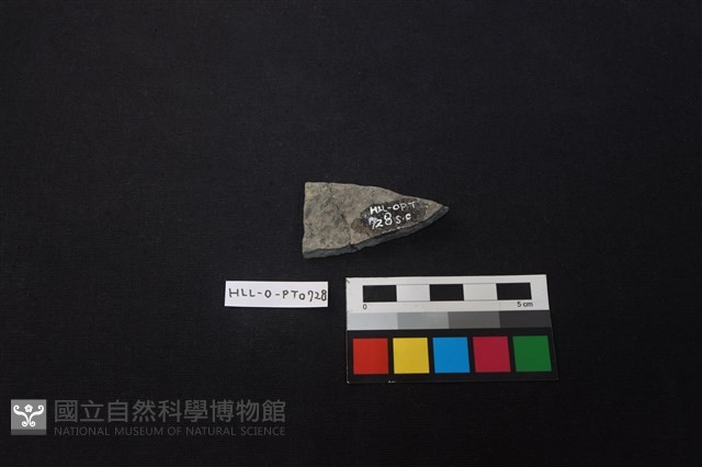 陶片藏品圖，第2張