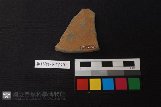 陶片藏品圖，第2張