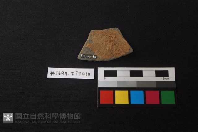 陶片藏品圖，第2張