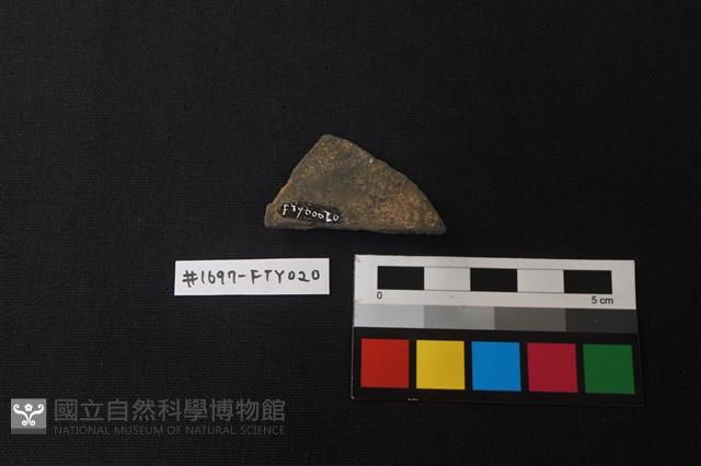 陶片藏品圖，第2張