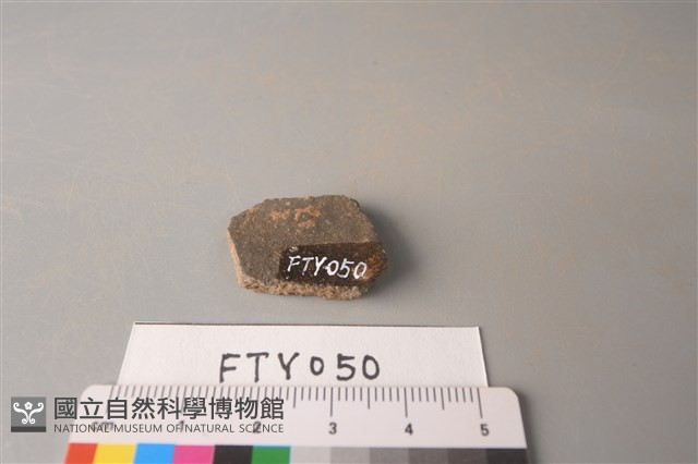 陶片藏品圖，第2張