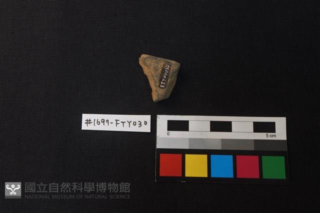 陶片藏品圖，第2張