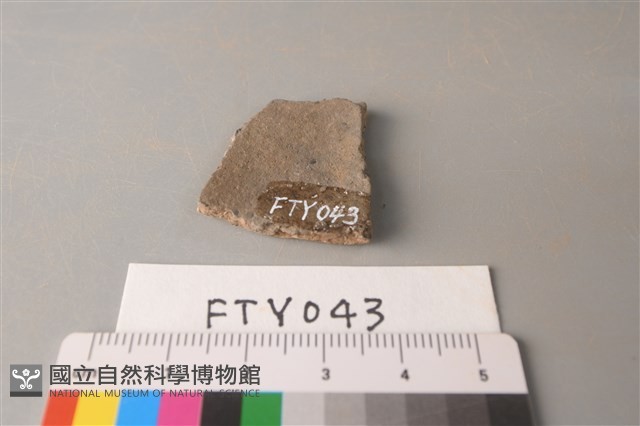 陶片藏品圖，第2張