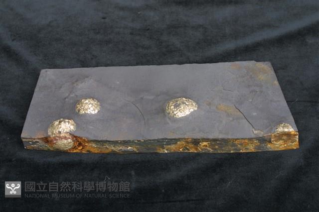 黃鐵礦藏品圖，第9張