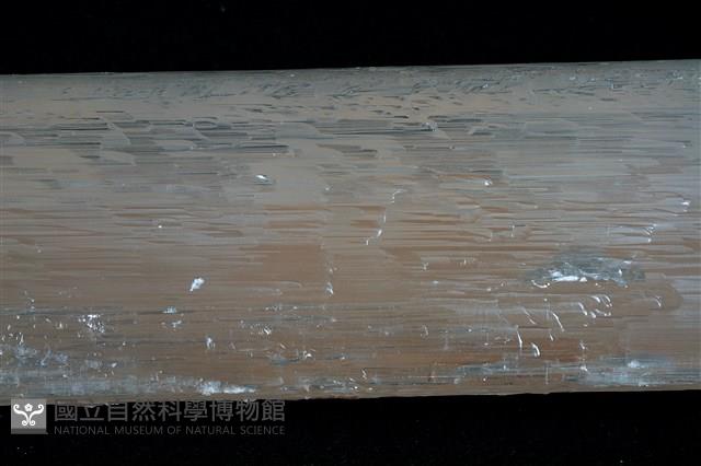 石膏/透石膏藏品圖，第9張