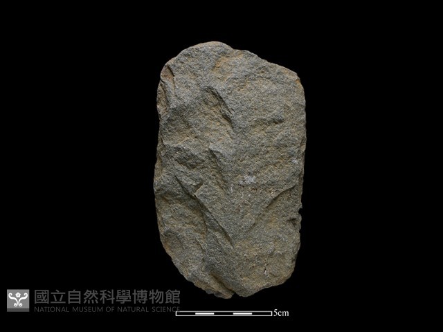 斧鋤形器藏品圖，第1張
