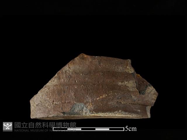 硬陶片藏品圖，第1張