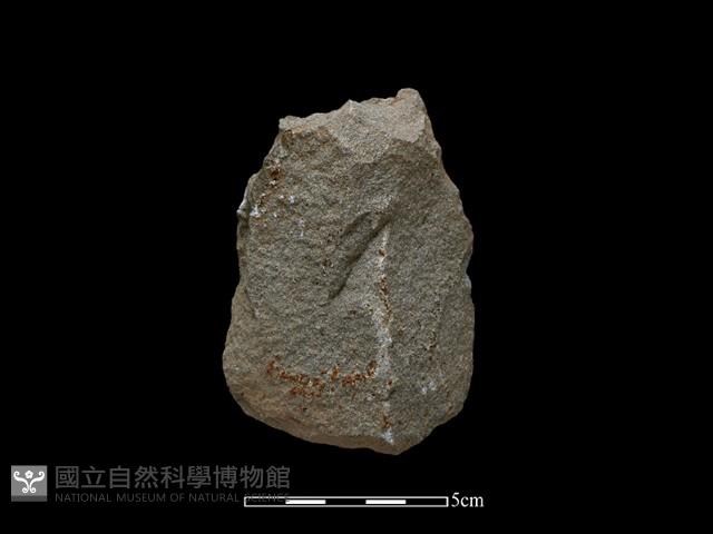 斧鋤形器藏品圖，第1張