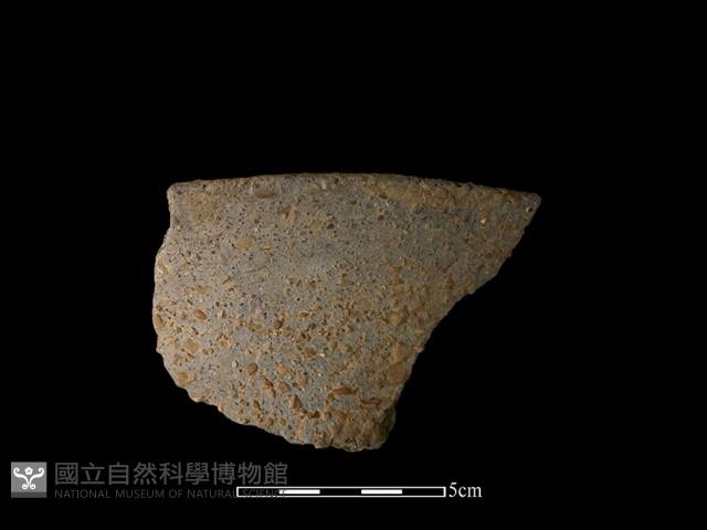 陶片藏品圖，第2張